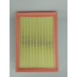 FILTRO AIRE C30125/1