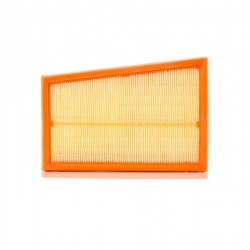 FILTRO AR IAF-2433-2  C...